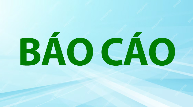 Báo cáo tóm tắt chỉ tiêu tài chính 6 tháng đầu năm 2025