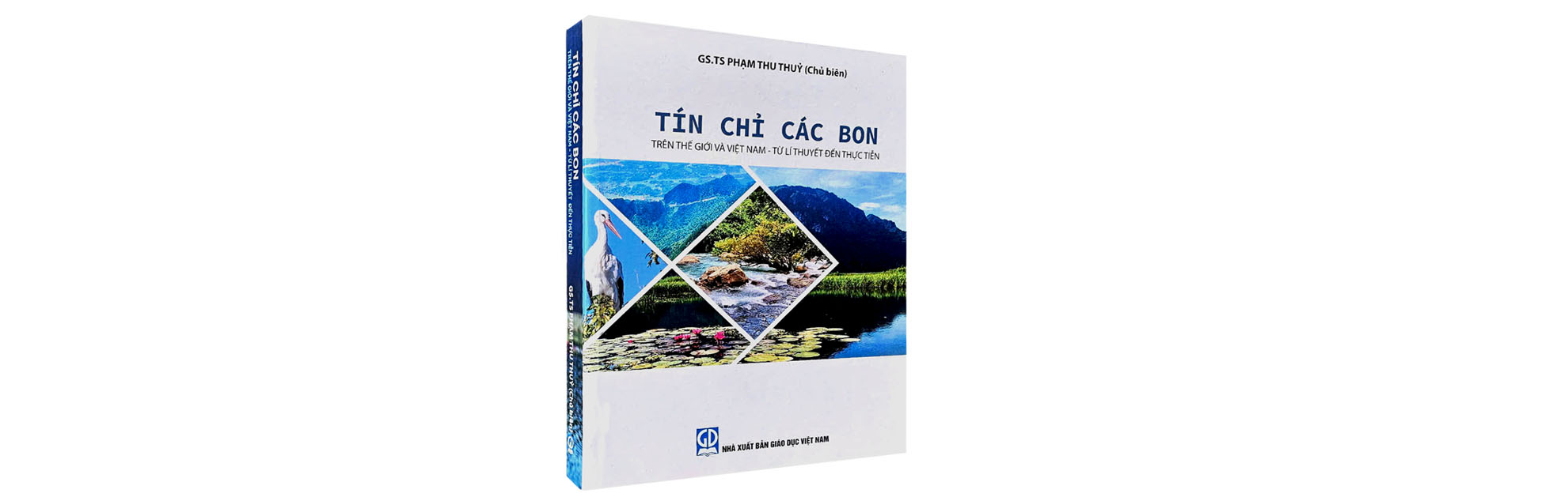 Tín chỉ các bon trên thế giới và Việt Nam: Từ lí thuyết đến thực tiễn